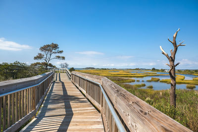 Boardwalk leading towards trees on landscape against sky