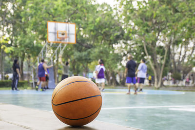 People playing basketball against trees in park