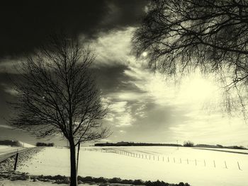 Bare trees on snow covered land against sky