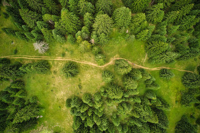 High angle view of landscape