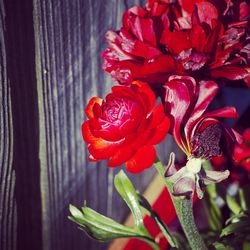 Close-up of red rose bouquet