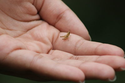 Close-up of human hand holding small baby