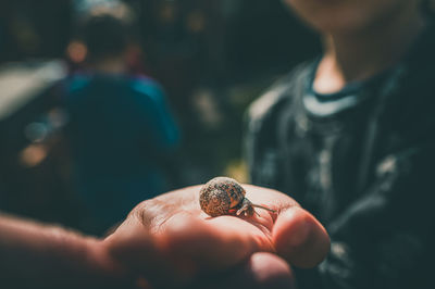 Close-up of hand holding small