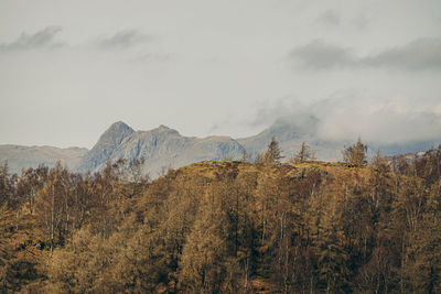 Scenic view in lake district 