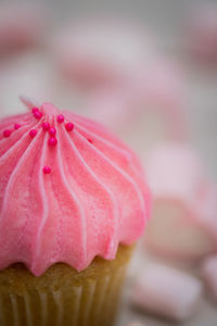 Close-up of pink rose