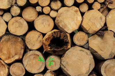 Full frame shot of logs in forest