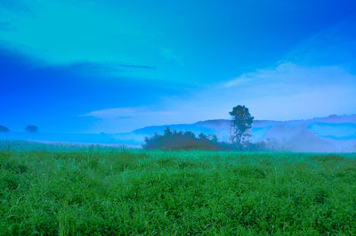 Scenic view of field against blue sky