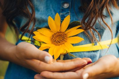 Close-up of hand holding flower