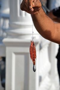 Close-up of man hand holding fish