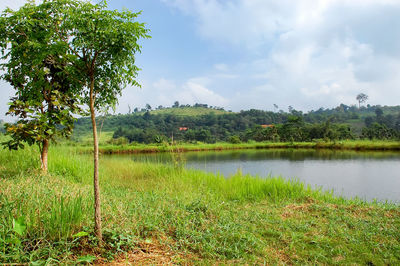 Scenic view of grassy field by lake against sky