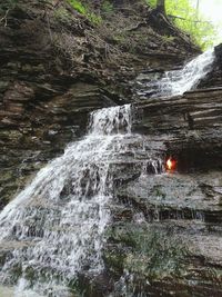 Scenic view of waterfall in forest