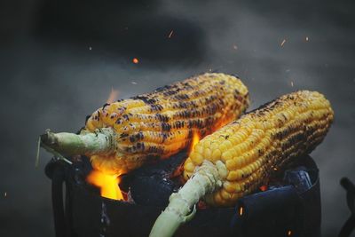 Close-up of corn on barbecue grill