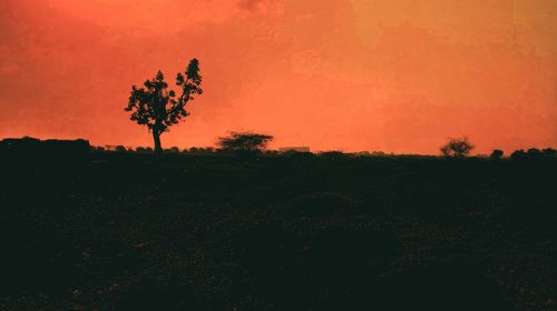 Silhouette trees on field against orange sky