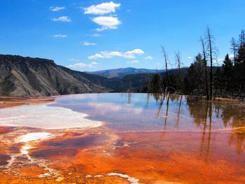 Scenic view of yellowstone national park