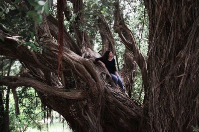 Low angle view of woman sitting on tree trunk