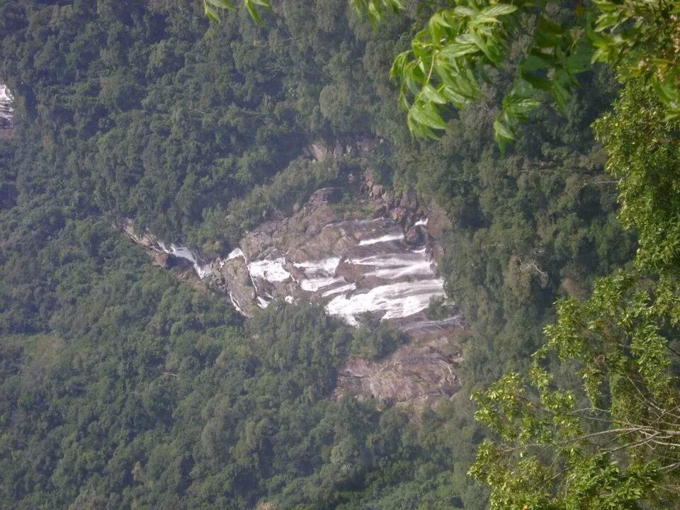 tree, forest, green color, growth, nature, high angle view, tranquility, lush foliage, beauty in nature, scenics, tranquil scene, rock - object, plant, non-urban scene, mountain, landscape, day, idyllic, outdoors, remote