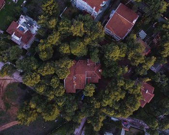 Aerial view of residential buldings