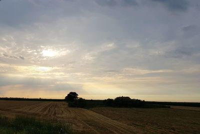 Scenic view of agricultural field against sky during sunset