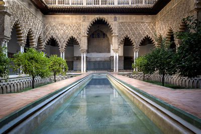 View of swimming pool by building