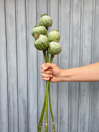 Person holding vegetables on wood