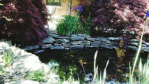 Stream flowing through rocks