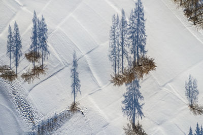 Close-up of snow