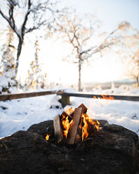 Close-up of bonfire in winter