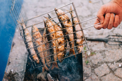 Cropped image of hand grilling fish on barbecue