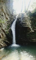 Scenic view of waterfall in forest