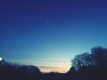 Low angle view of silhouette trees against blue sky