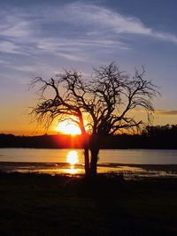 Silhouette bare tree by lake against sunset sky