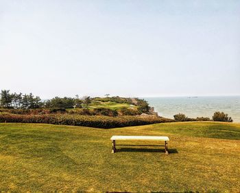 Scenic view of field against clear sky