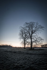 Bare tree on field against sky during sunset