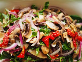 Close-up of salad served in plate