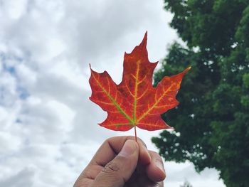 Close-up of hand holding maple leaf against sky