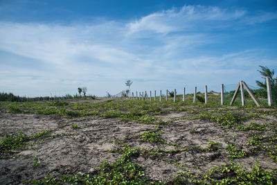 Fence on field against sky