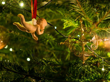 Close-up of illuminated christmas tree