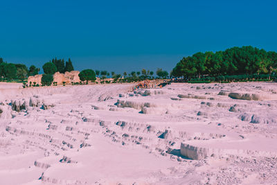 Scenic view of field against clear blue sky