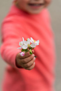 Close-up of hand holding red flower