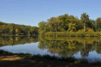 Scenic view of lake in forest against clear sky