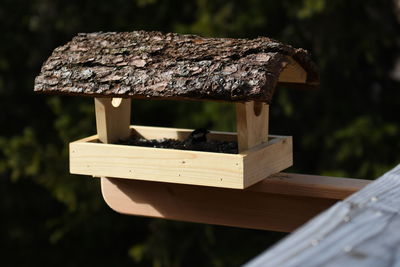 Close-up of log on table against trees