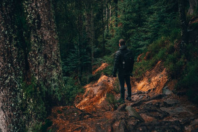 Rear view of man standing on rock by trees in forest