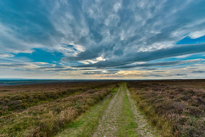 Road through the moors