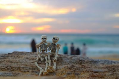 Close-up of toys on log at beach during sunset