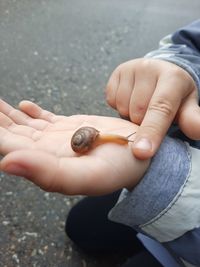 Close-u of person holding snail
