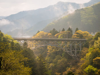 Scenic view of trees by mountains during foggy weather