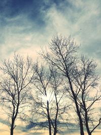 Low angle view of bare tree against sky