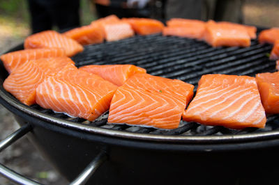 High angle view of fish in container