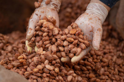 Close-up of hand holding bread
