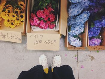 Multi colored flowers for sale